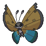 Dark Vivillon (River)